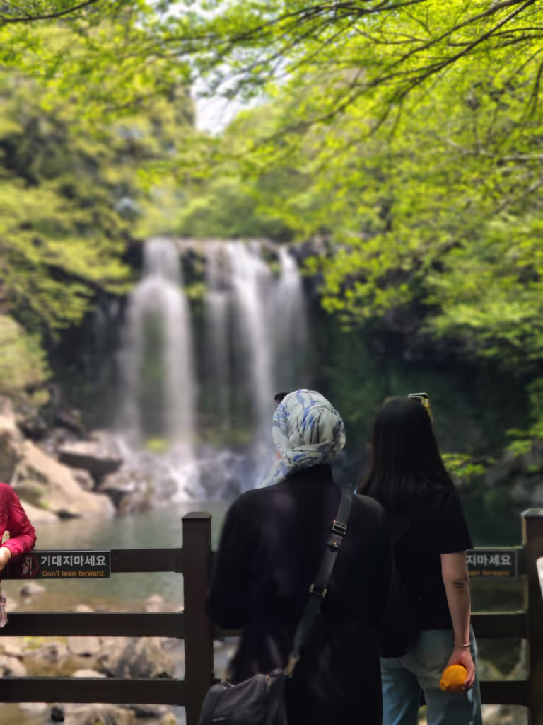 Jeju Private Tour - water fall