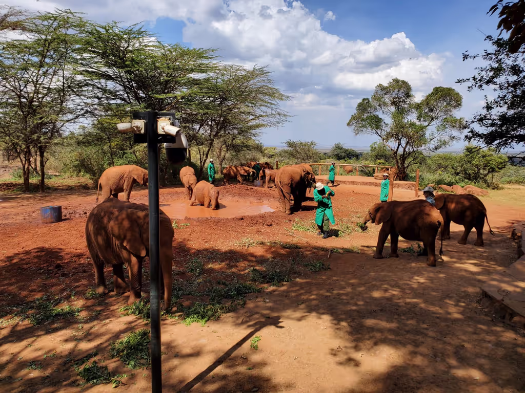 Nairobi Private Tour - 