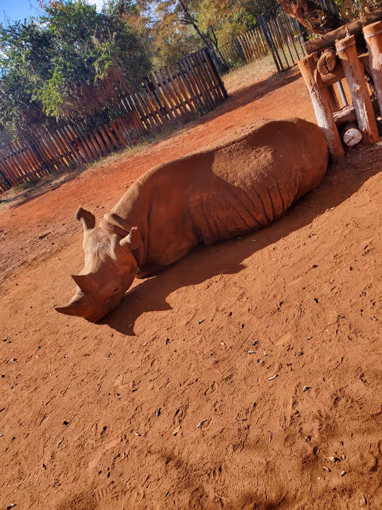 Nairobi Private Tour - 