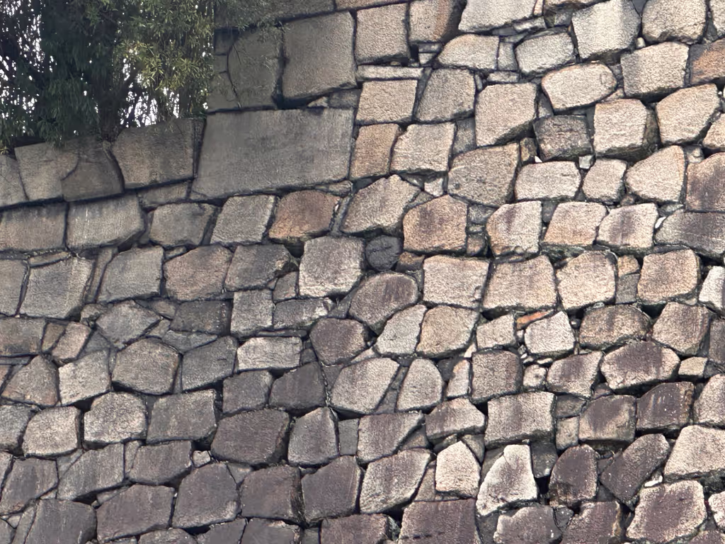 Osaka Private Tour - can you spot a face-like rock at the castle?