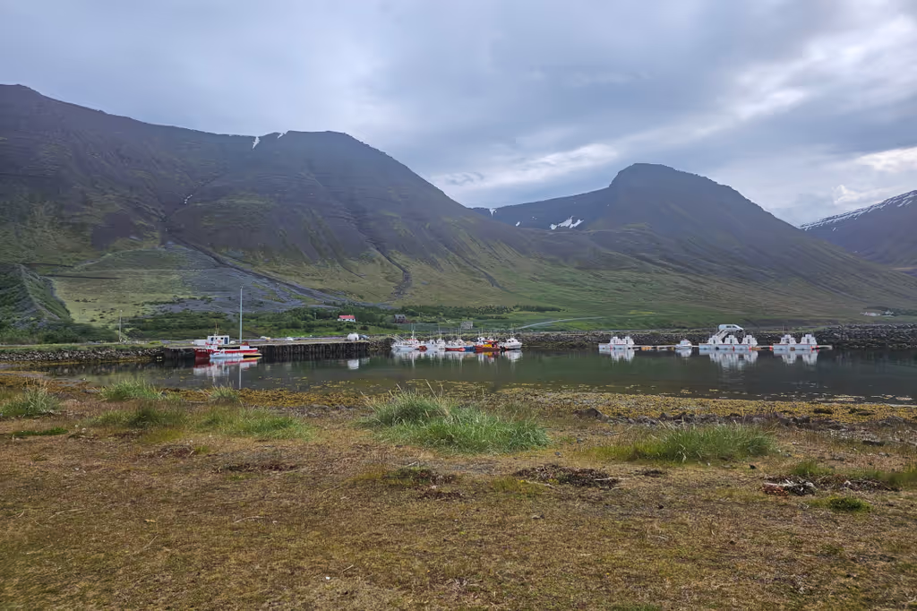 Isafjordur Private Tour - Flateyri Fishing Village