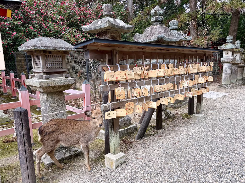 Nara Private Tour - 
