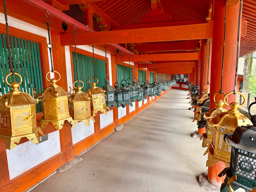 Nara Private Tour - 