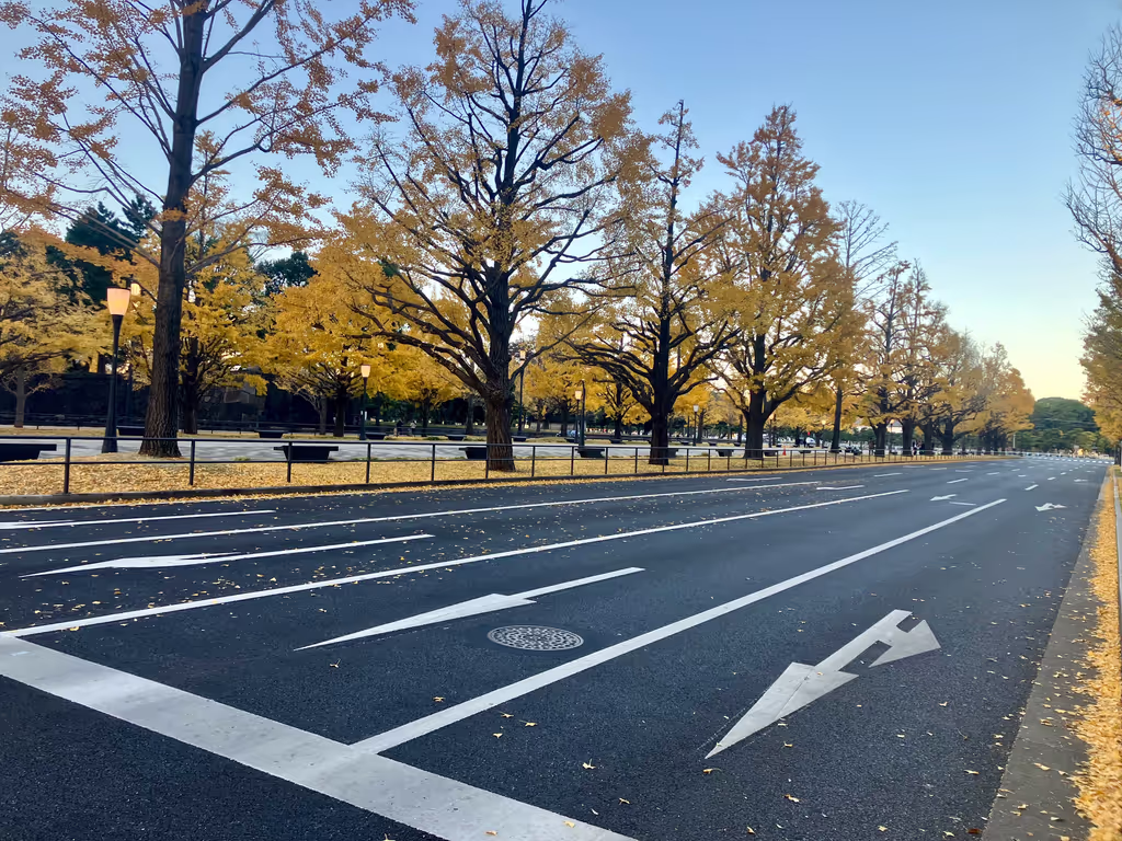 Tokyo Private Tour - 