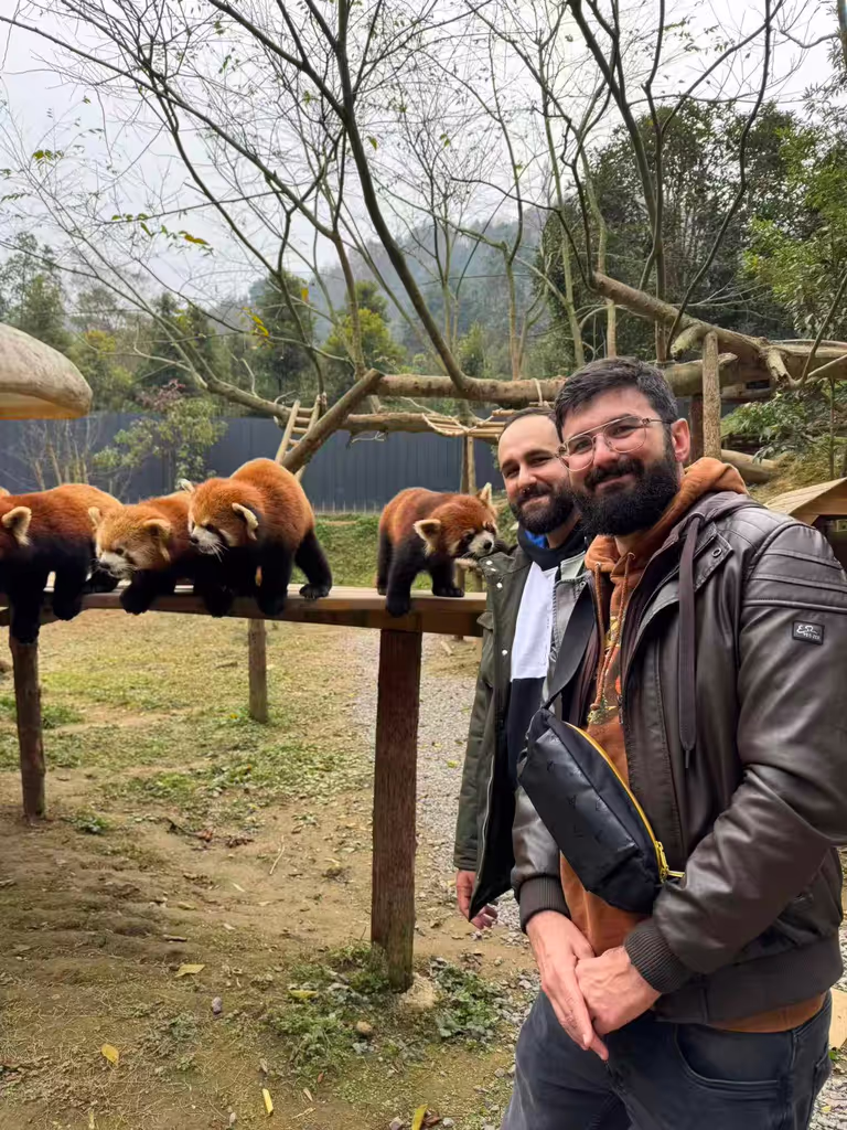 Chengdu Private Tour - Interact with the red panda