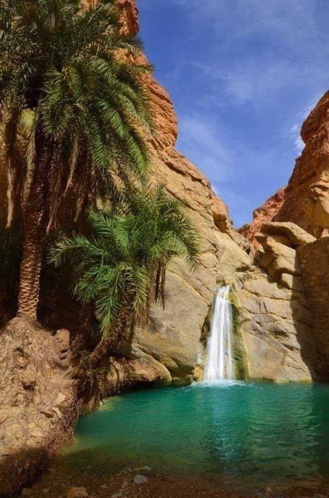 Tunis Private Tour - Tamaghza