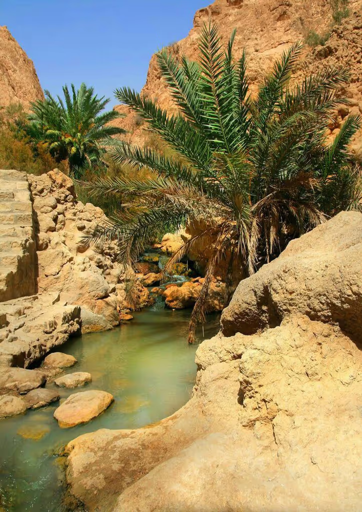 Tunis Private Tour - Chebika Oasis