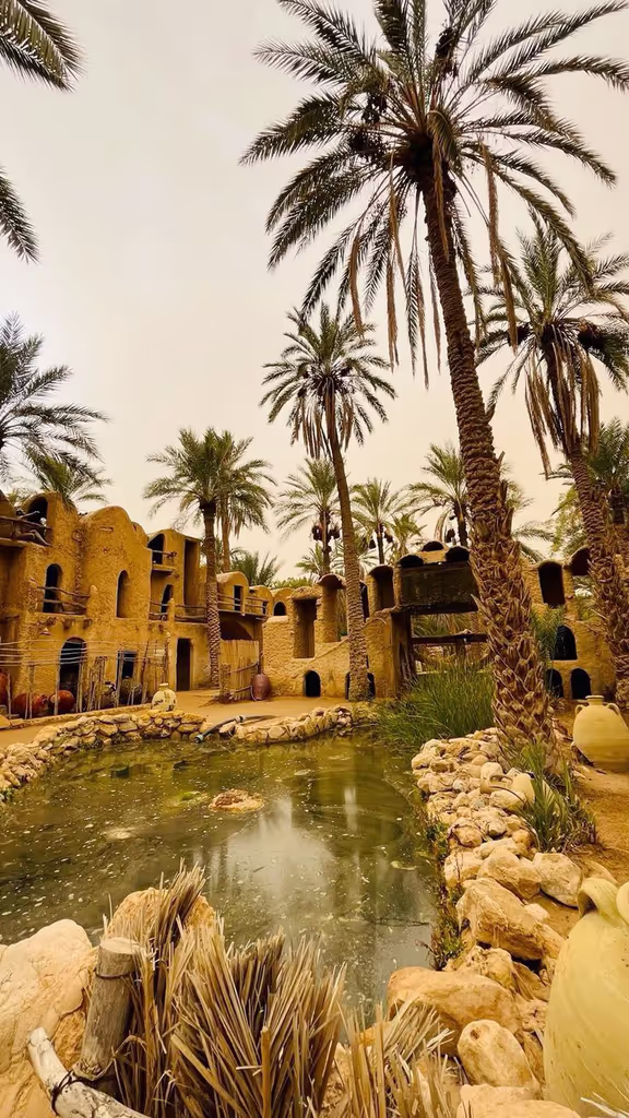 Tunis Private Tour - Tozeur
