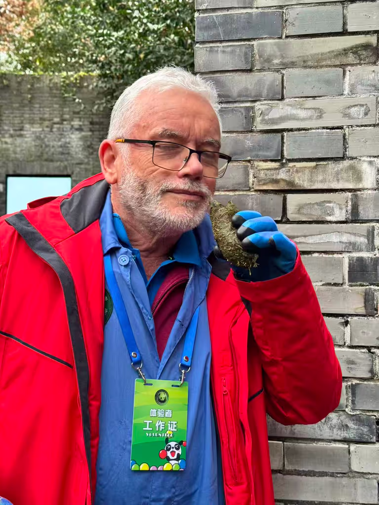 Chengdu Private Tour - Sniffing the smell of giant pandas’ poop