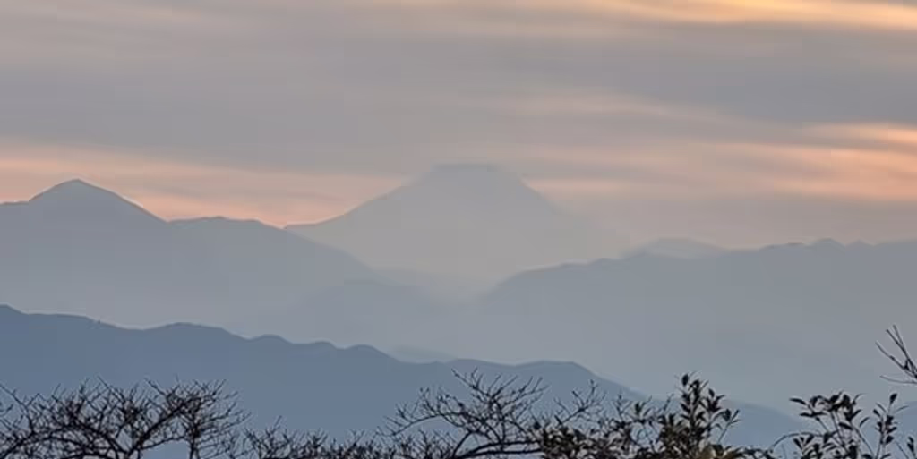 Tokyo Private Tour - 