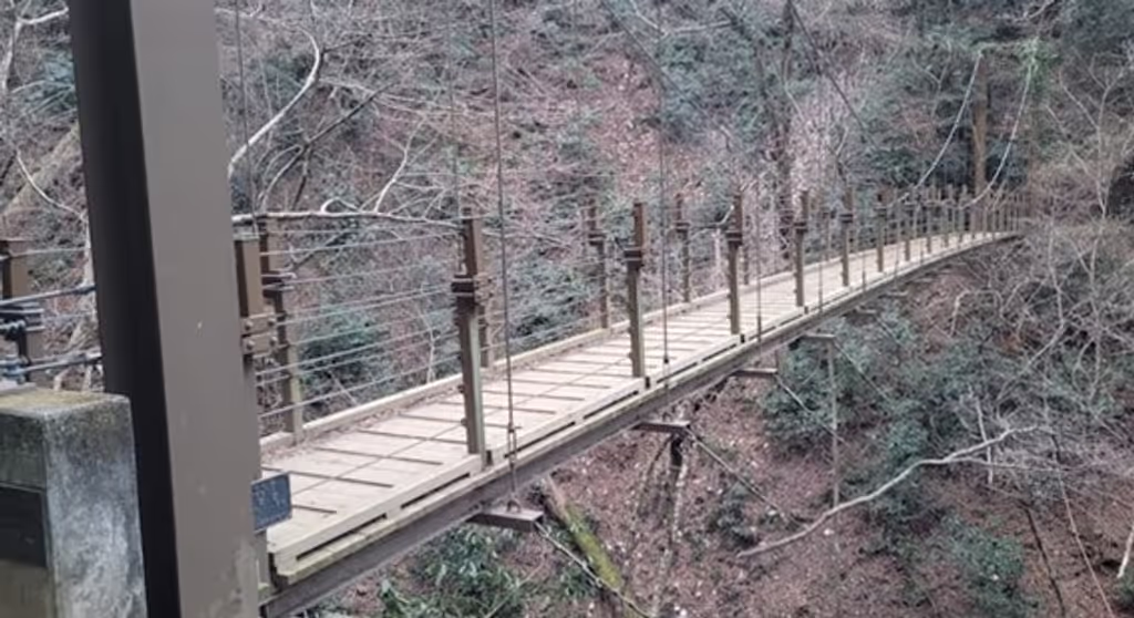 Tokyo Private Tour - 