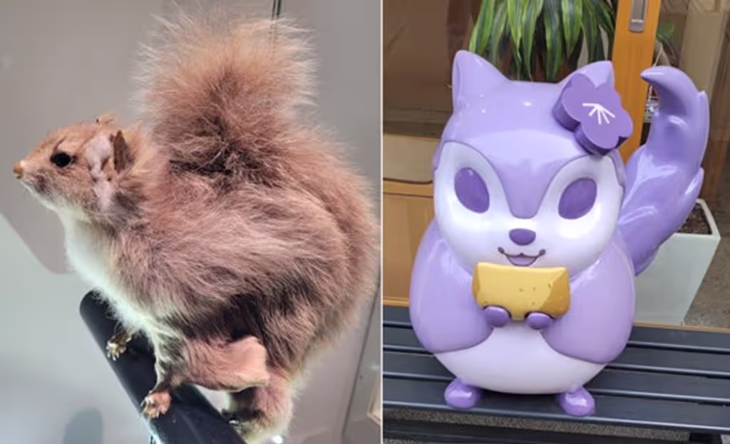 Tokyo Private Tour - 