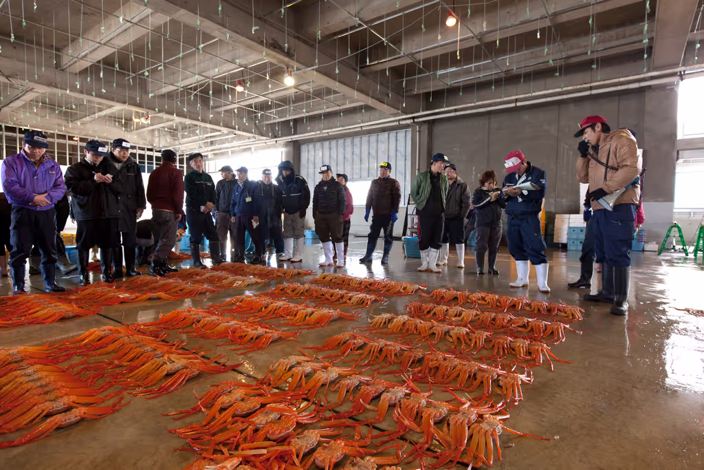 Toyama Private Tour - Daytime Crab Auction