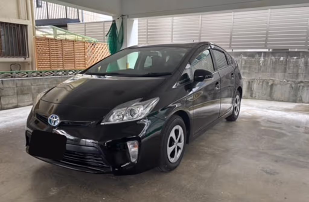 Okinawa Main Island Private Tour - My car - Toyota Prius