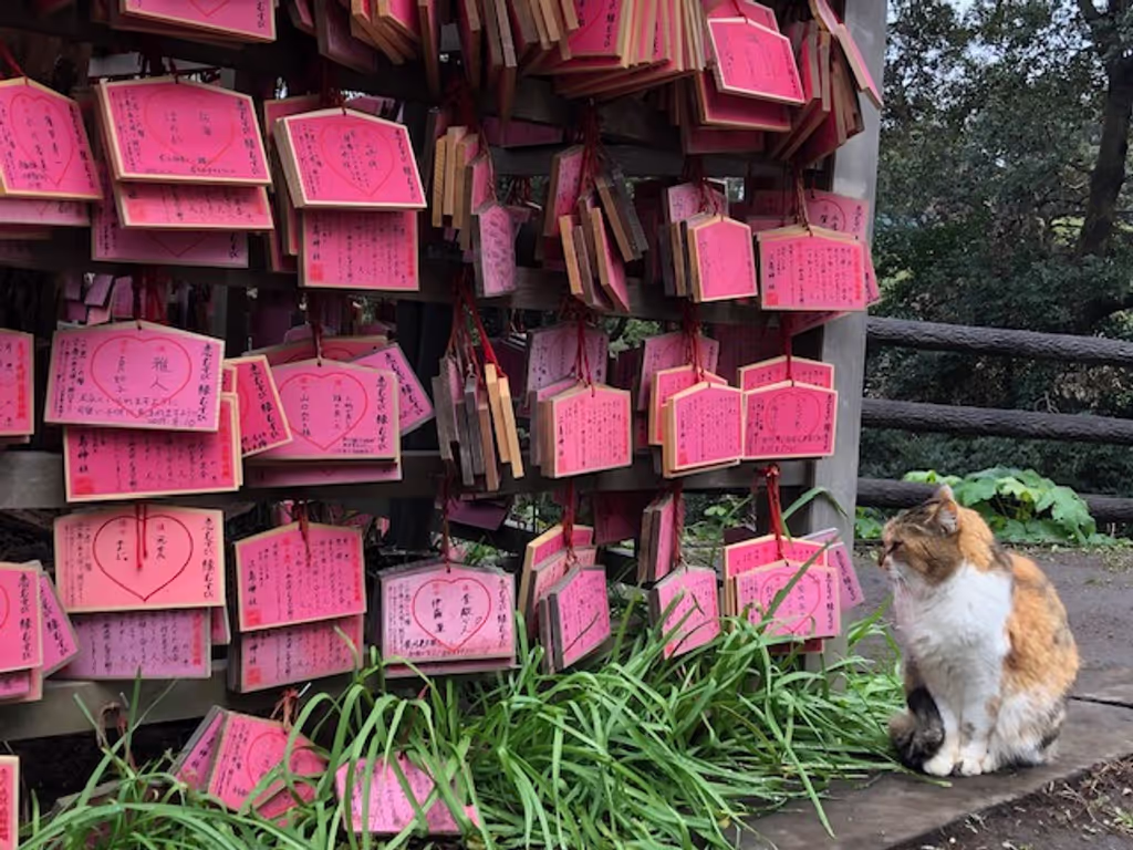 Tokyo Private Tour - A cat wishing for something?
