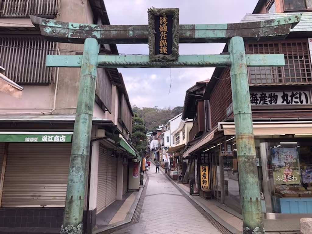 Tokyo Private Tour - Torii gate to Enoshhima Shrine