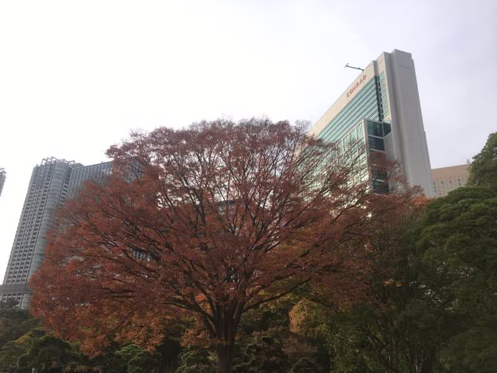 Tokyo Private Tour - Hamarikyu garden