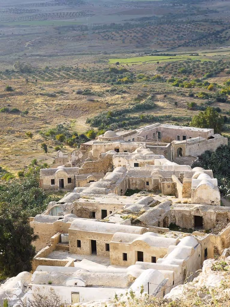 Tunis Private Tour - 