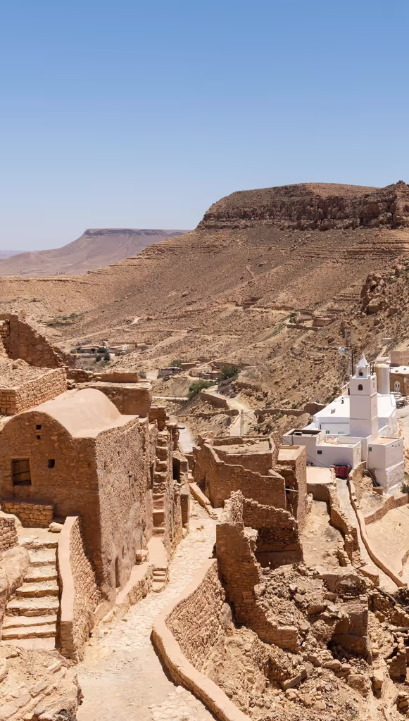 Tunis Private Tour - Chenin