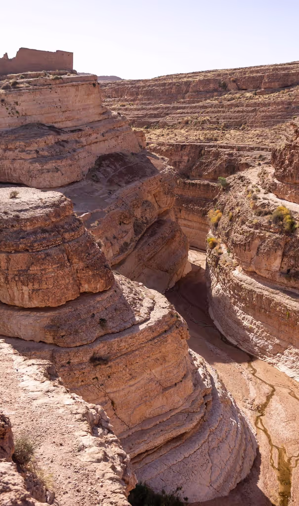 Tunis Private Tour - Mides