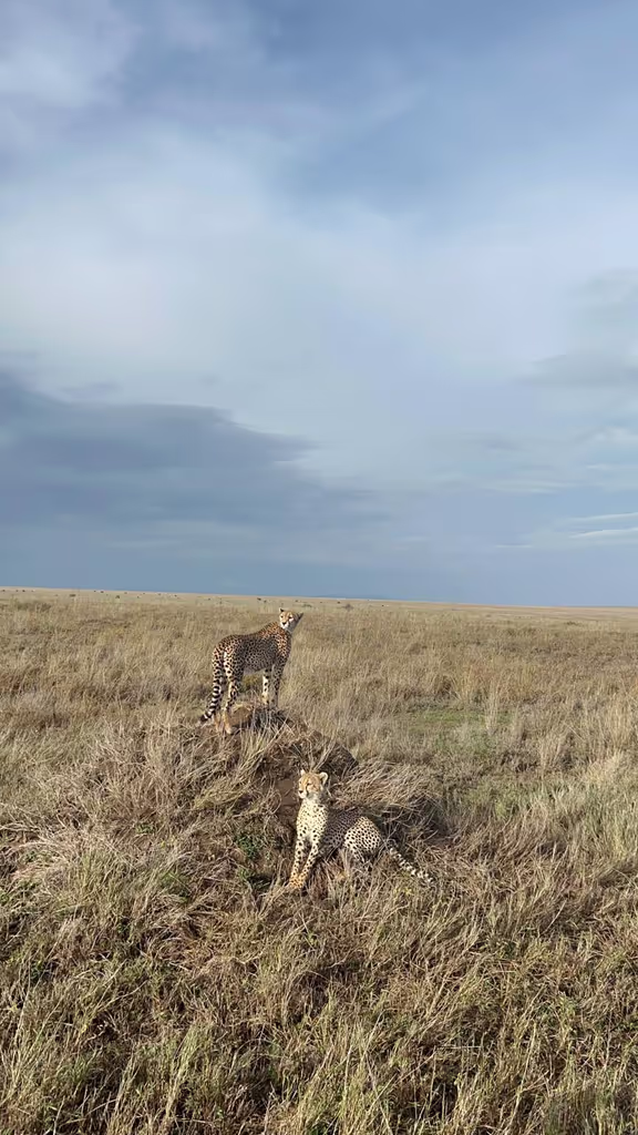 Arusha Private Tour - 