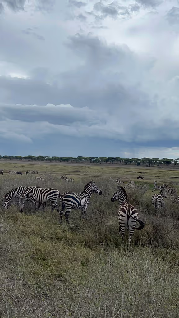Arusha Private Tour - 