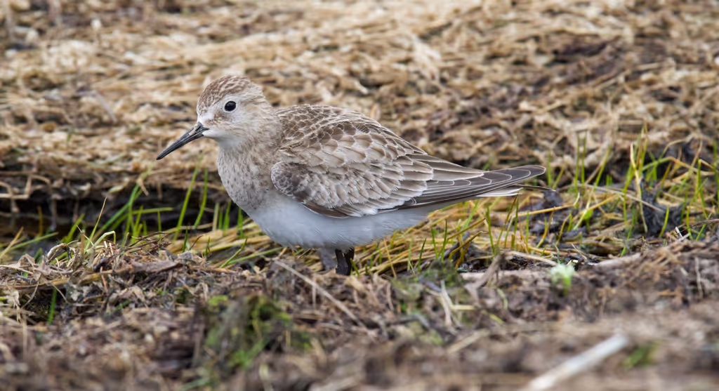 Quito Private Tour - 