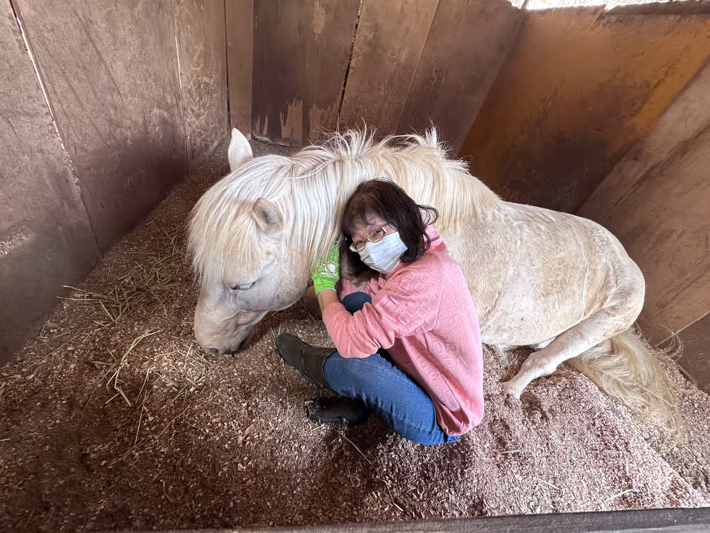 Yokohama Private Tour - 