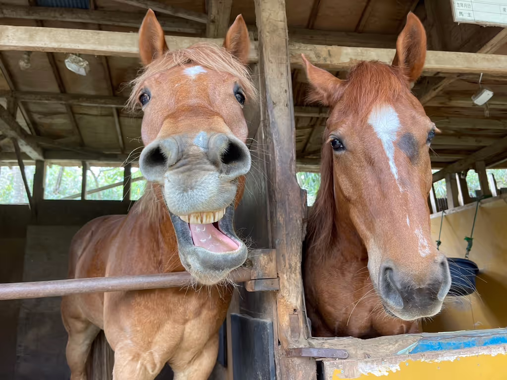 Yokohama Private Tour - 