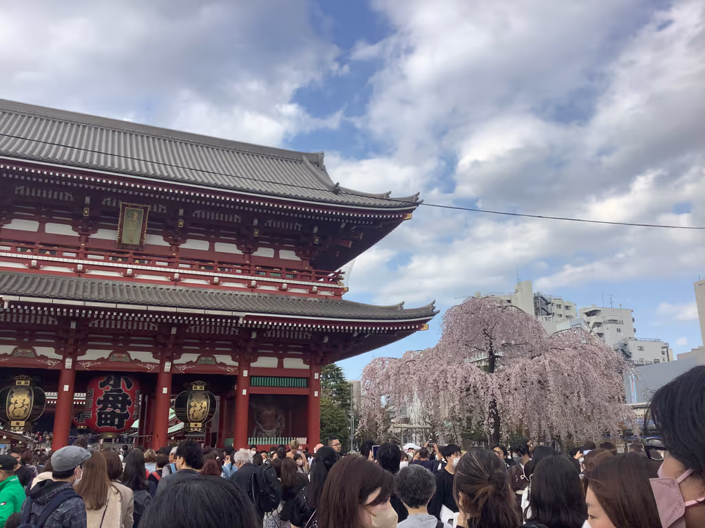 Tokyo Private Tour - Le temple bouddhique Sensoji, Asakusa
