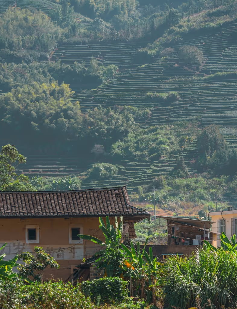 Xiamen Private Tour - 