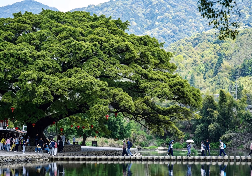 Xiamen Private Tour - 