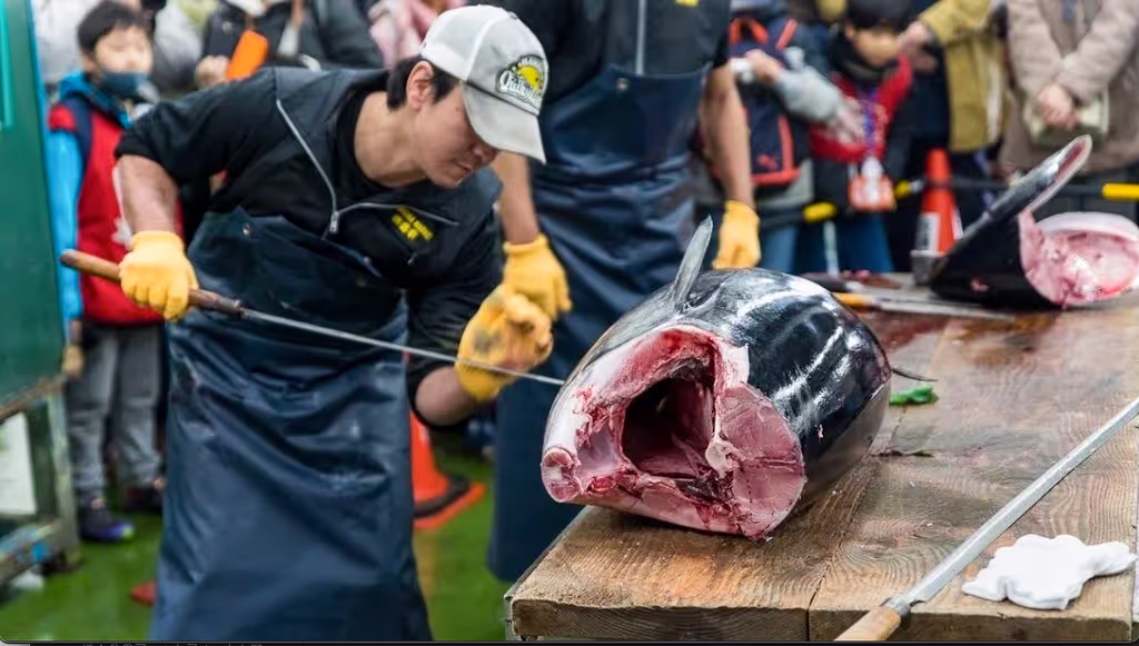 Yokohama Private Tour - 