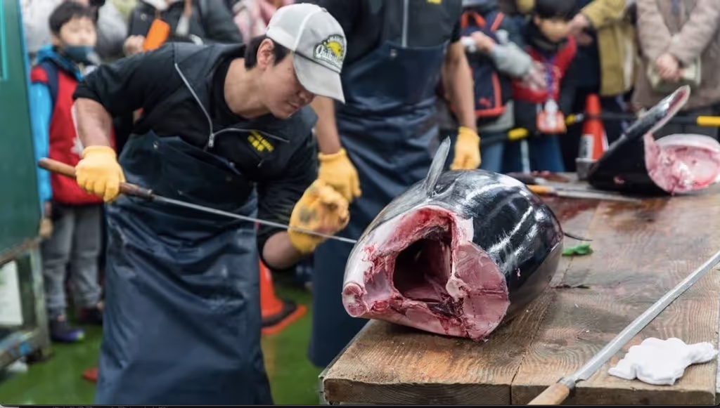 Yokohama Private Tour - 