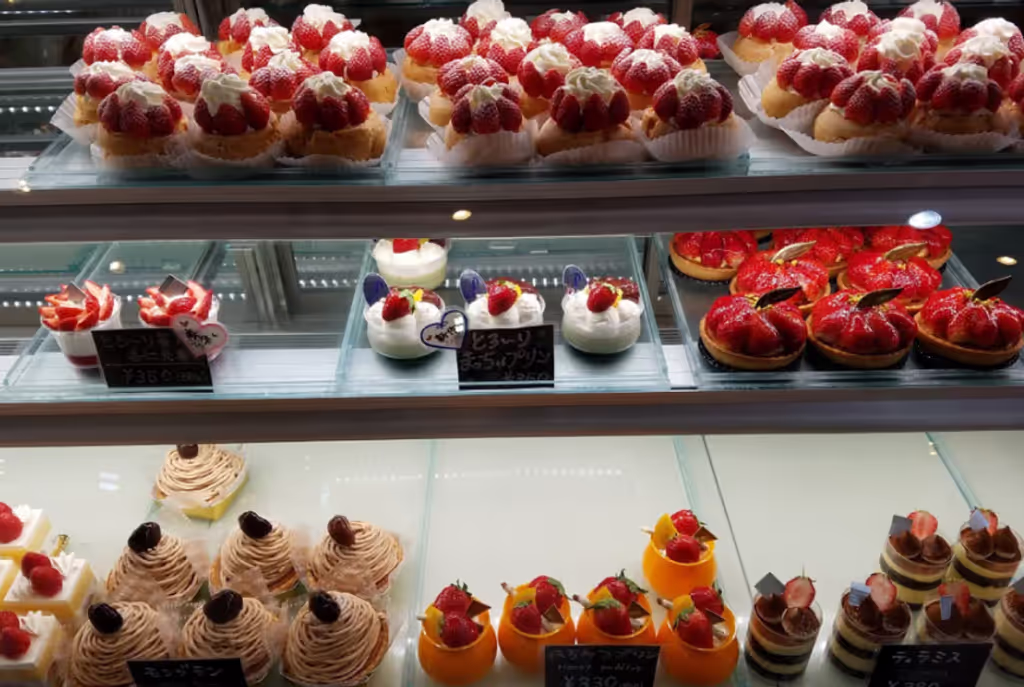 Tochigi Private Tour - 