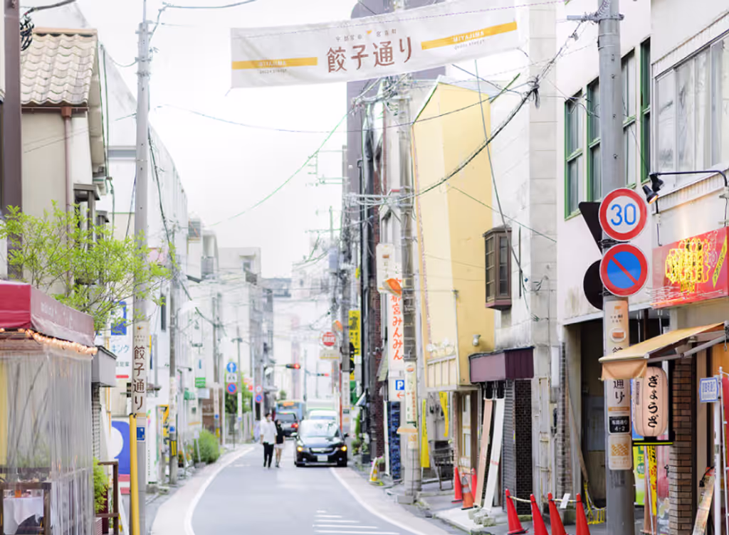 Tochigi Private Tour - 