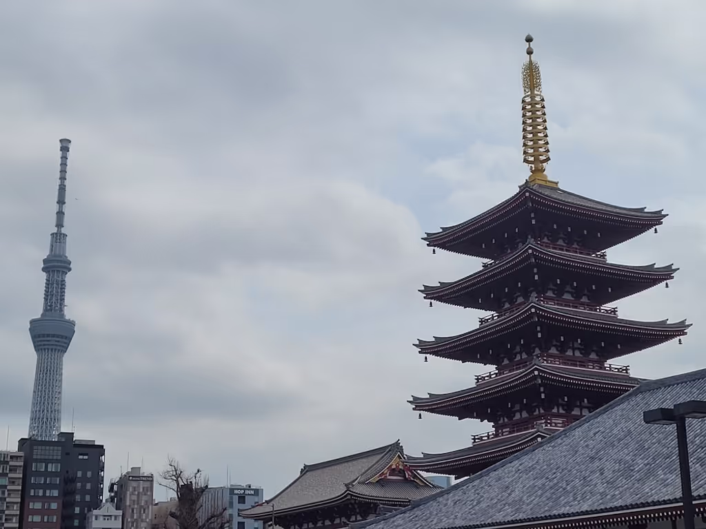 Tokyo Private Tour - Asakusa Pagoda & Skytree Tower