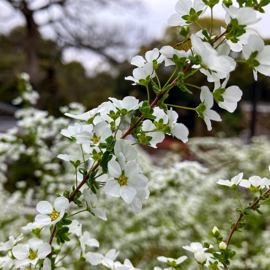 Yokohama Private Tour - Nogeyama Zoo