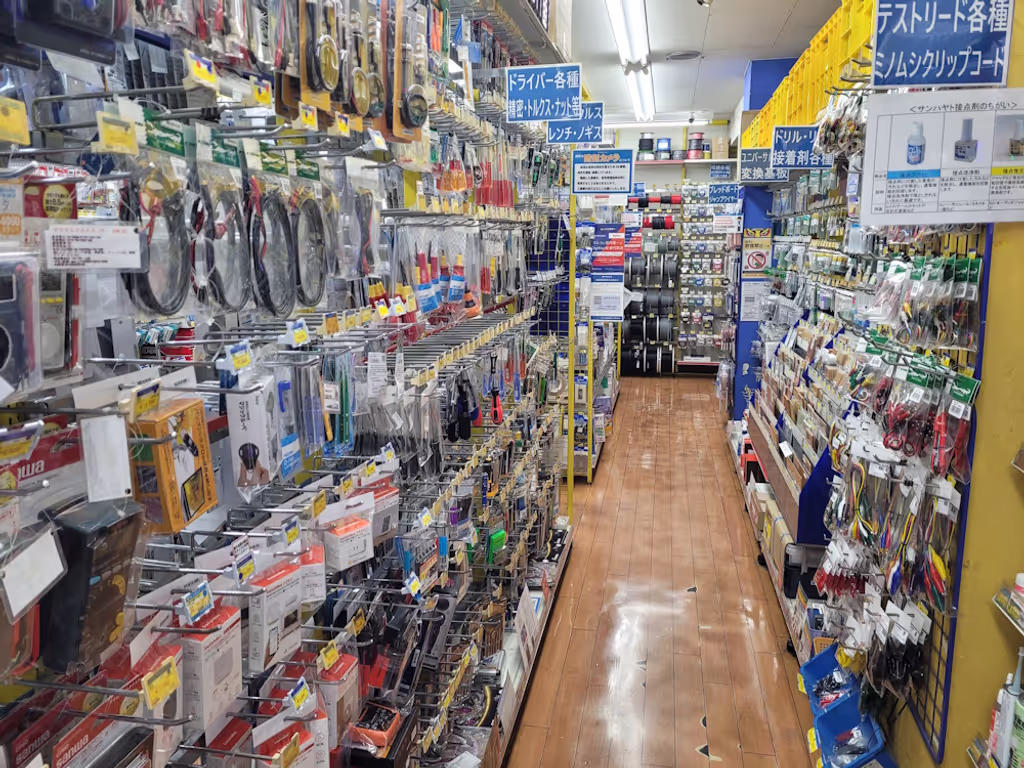 Tokyo Private Tour - Temples for electronics enthusiasts