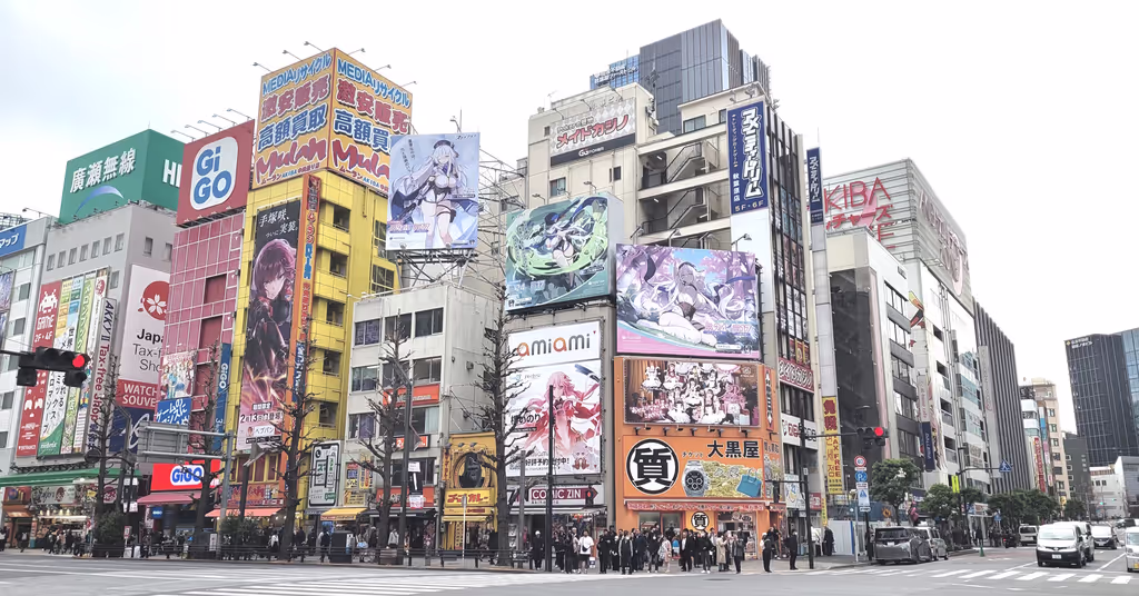 Tokyo Private Tour - Akiba corner