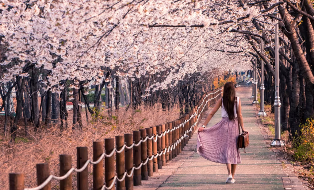 Osaka Private Tour - 