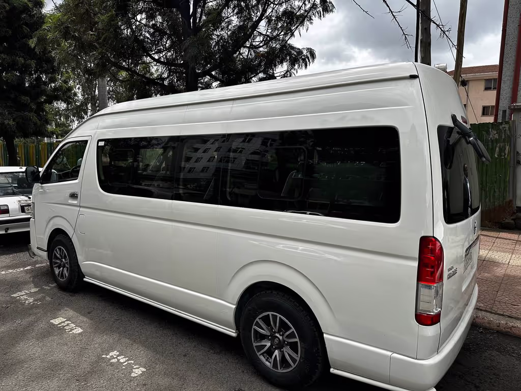 Addis Ababa Private Tour - Toyota Mini Bus Hiace