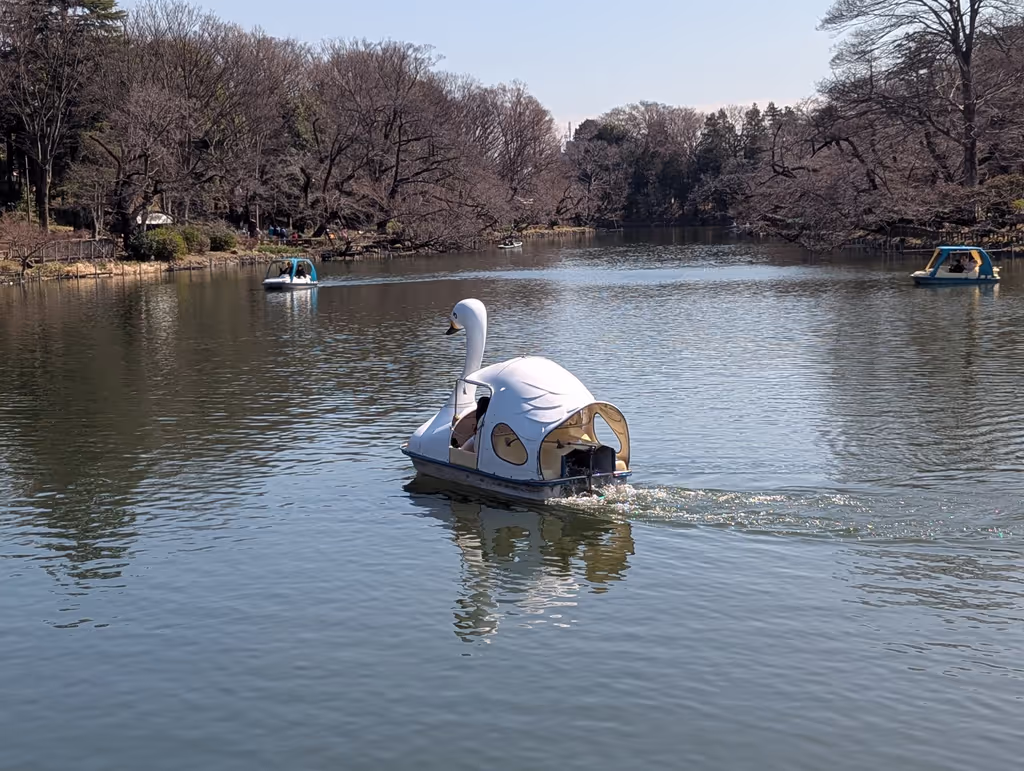 Tokyo Private Tour - 