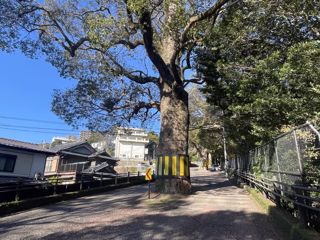 Nagasaki Private Tour - Unique Street on the hillside area