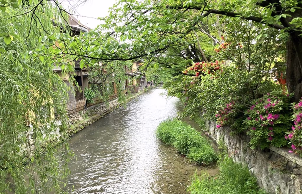 Kyoto Private Tour - Shirakawa River with Greenary