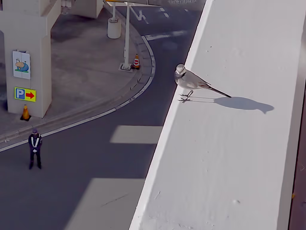 Kanagawa Private Tour - 