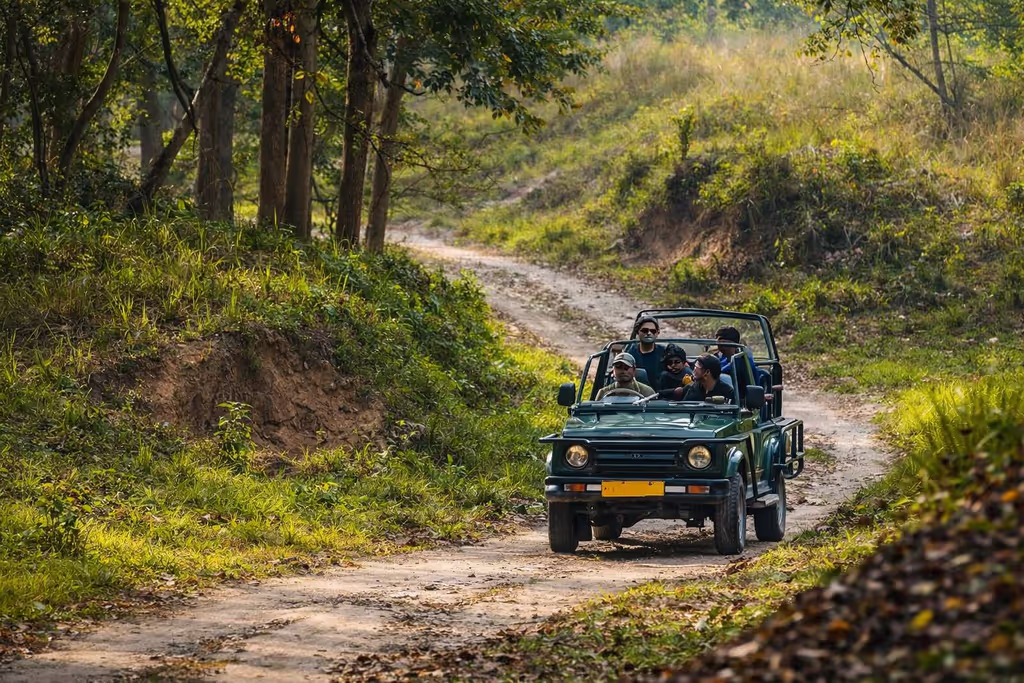 Rishikesh Private Tour - Open Jeep Safari inside Rajaji National Park