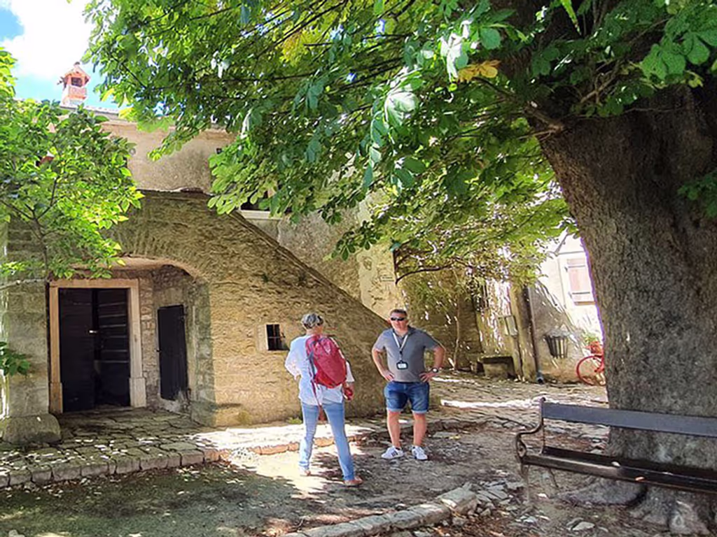 Istria Private Tour - 
