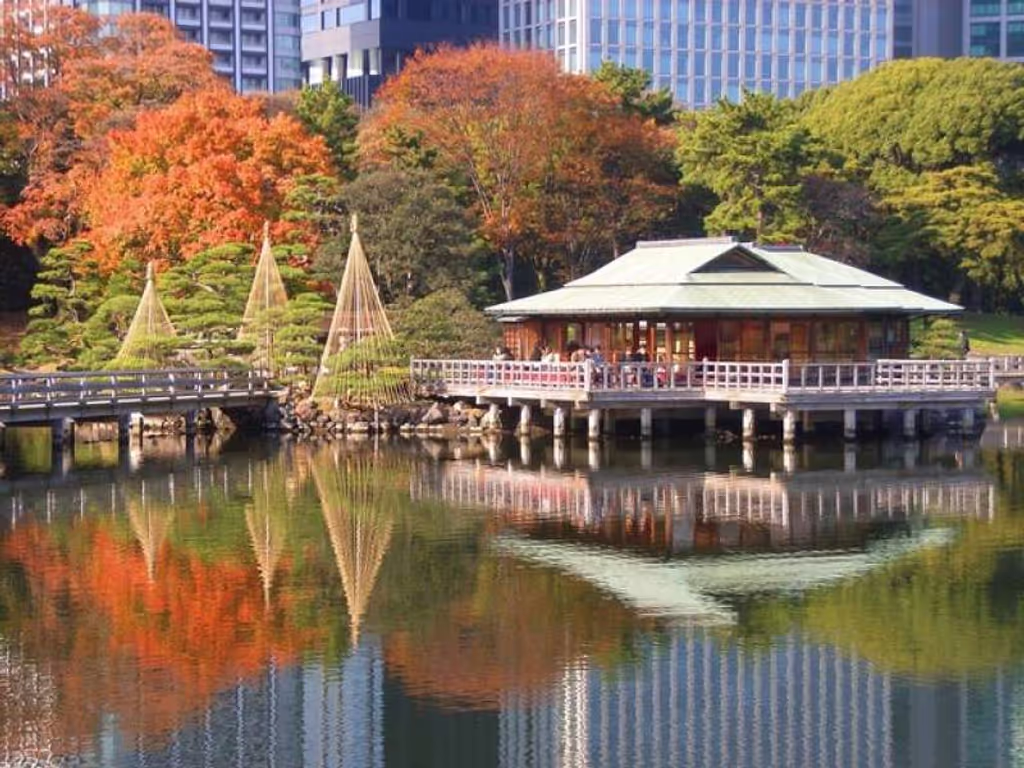 Tokyo Private Tour - 3.3 Hamarikyu garden