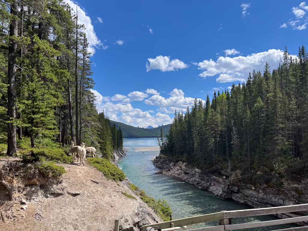 Calgary Private Tour - 